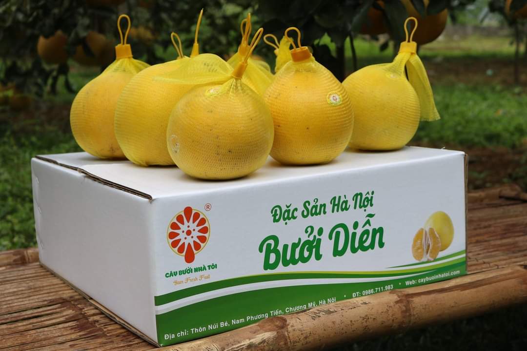 Bưởi Hà Nội
