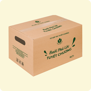 Thùng carton đóng trái cây