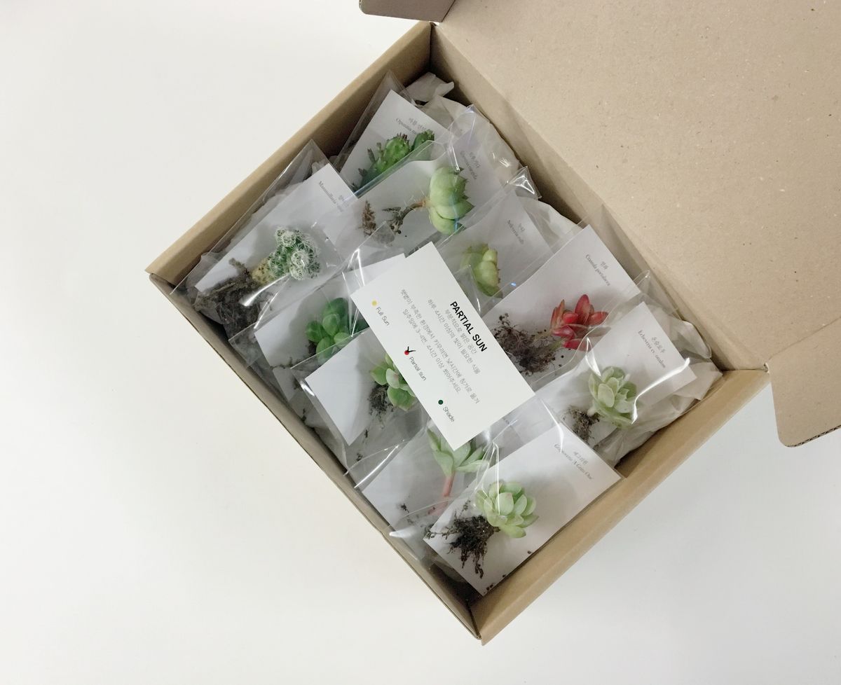 78da15d9d971331a9ae16a5b58a9cf60