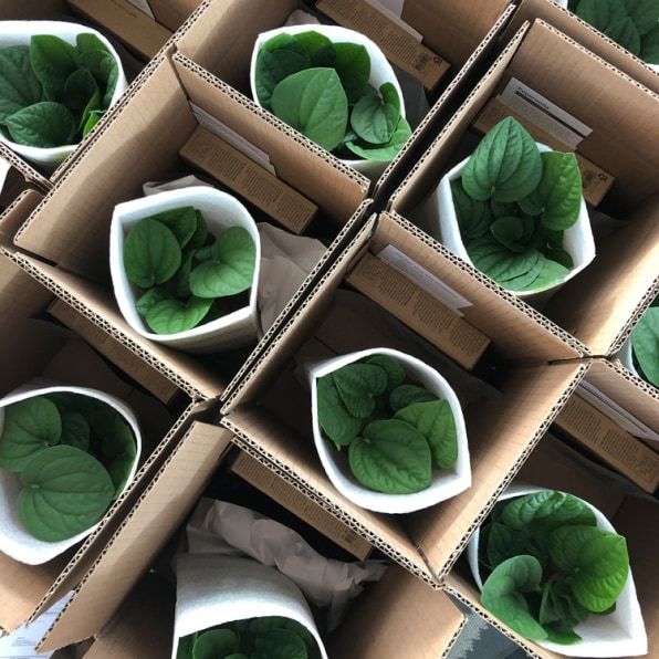 8a5416d8ad77371e61ab2d744d73f48f