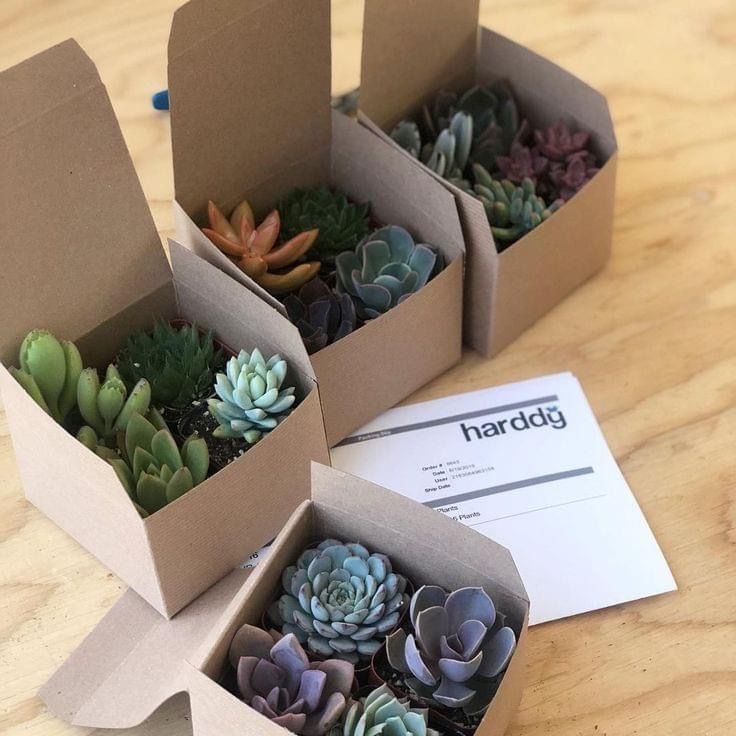 ab749bac5ad1dcbf6c7def9a9a8b2541