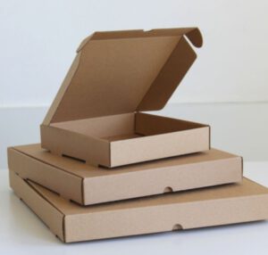 Hộp đựng Pizza