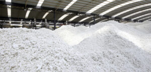 Bột giấy là gì? Thành phần và ứng dụng trong sản xuất thùng carton