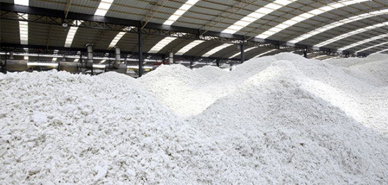 Bột giấy là gì? Thành phần và ứng dụng trong sản xuất thùng carton