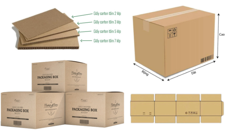 Kích thước Thùng carton lớn