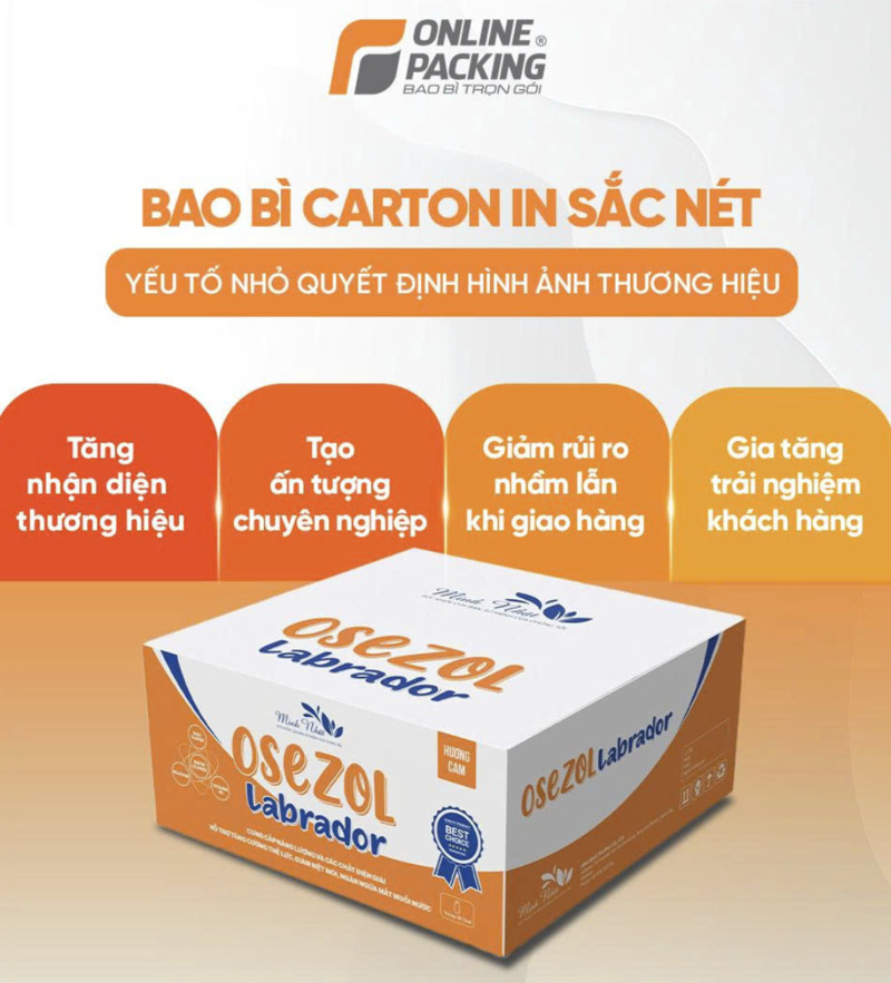 Những điều cần lưu ý khi sản xuất bao bì carton 5 lớp cho shop online miền Bắc