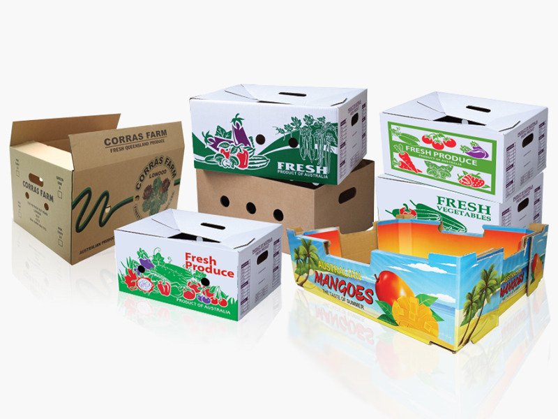 Ứng dụng thùng carton in flexo trong đời sống